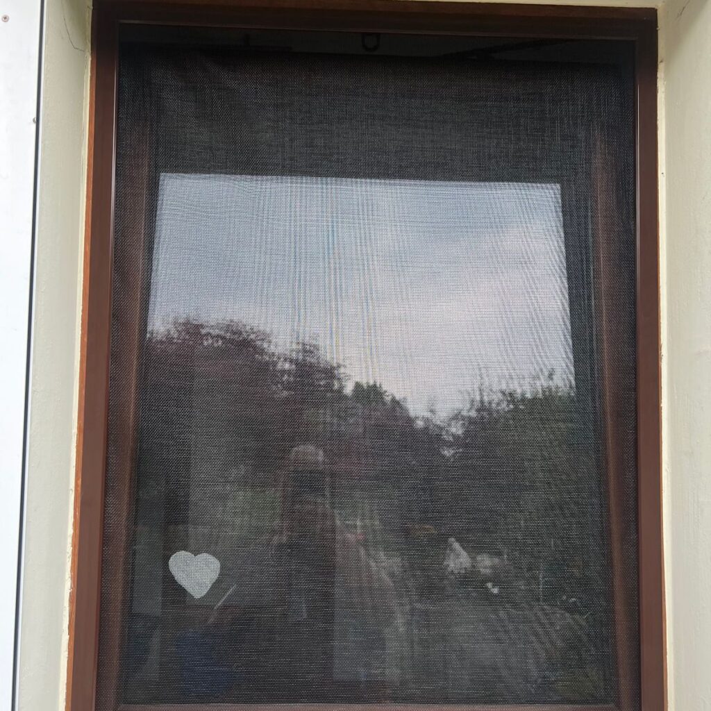 Bild #1 von Kai