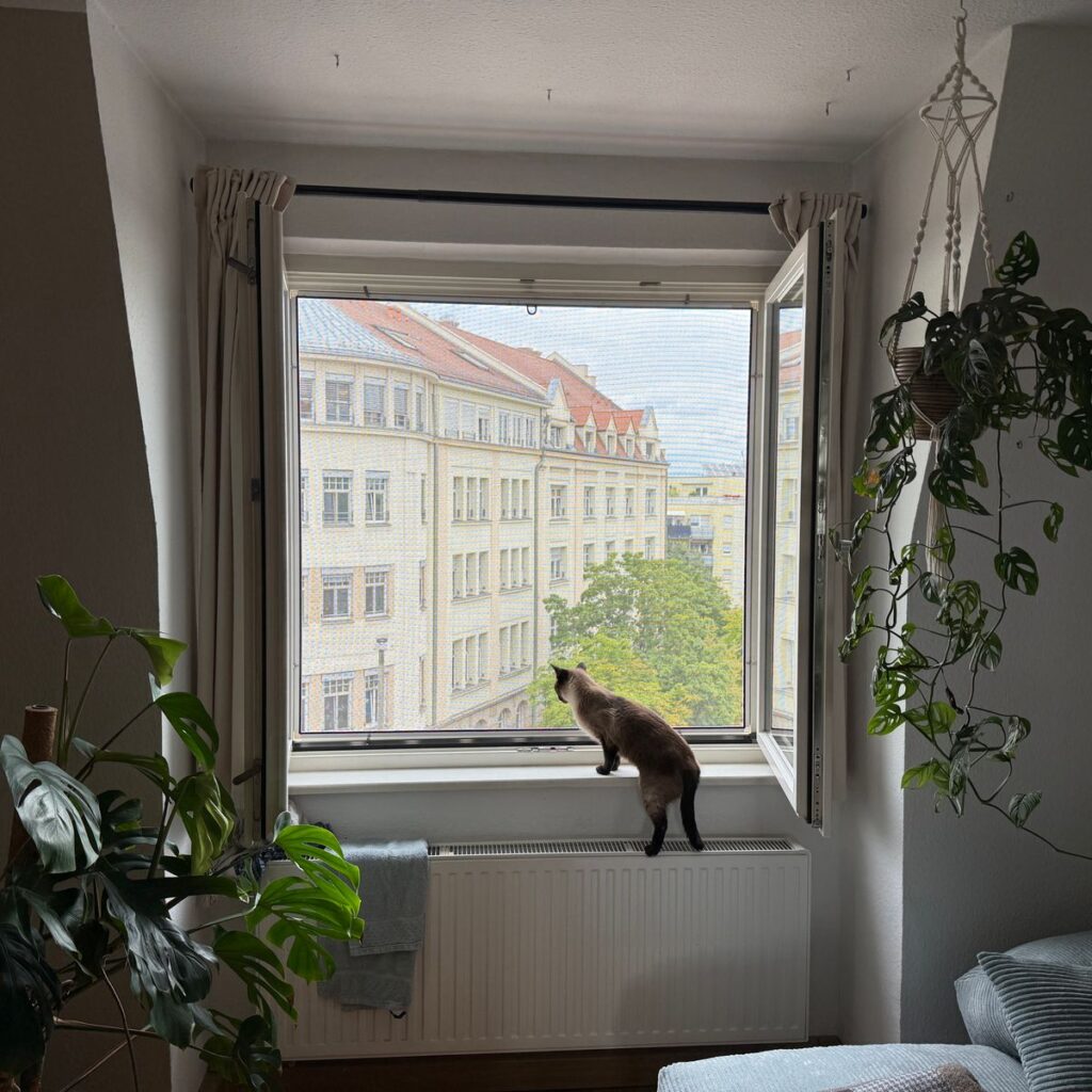 Bild #1 von Herbert S.