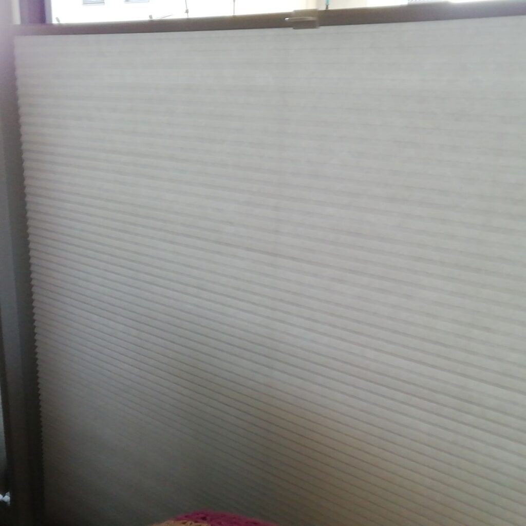 Bild #1 von Eveline K.