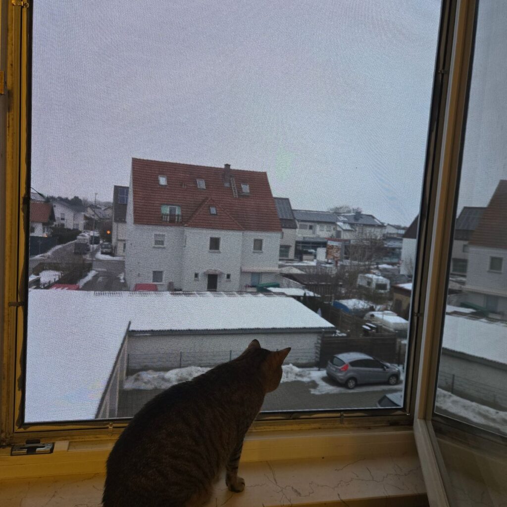 Bild #1 von Sabrina R.