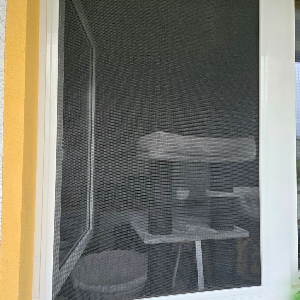 Bild #1 von Susanne A.