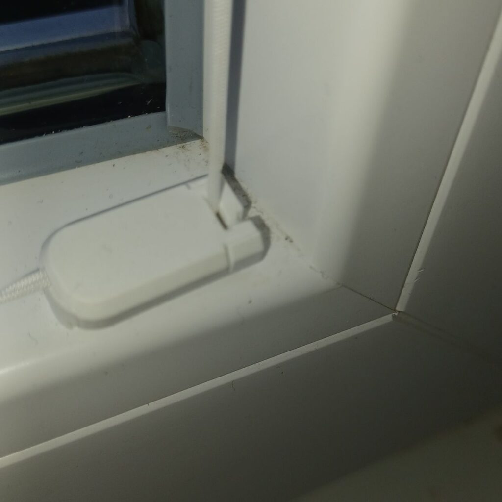 Bild #2 von Theodor Refisch